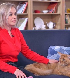 Юлия Фелль и рыжий кот мейн кун Нарцисс на НТВ
